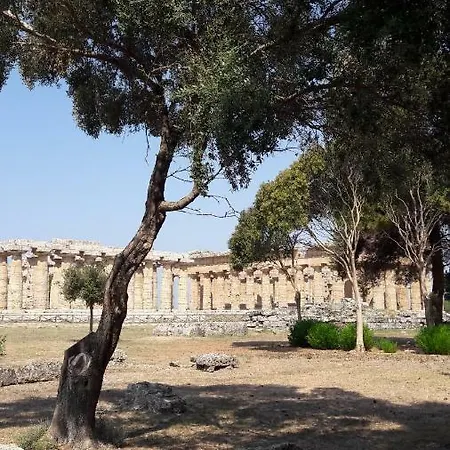 Casa Macchia Tatil Evi *